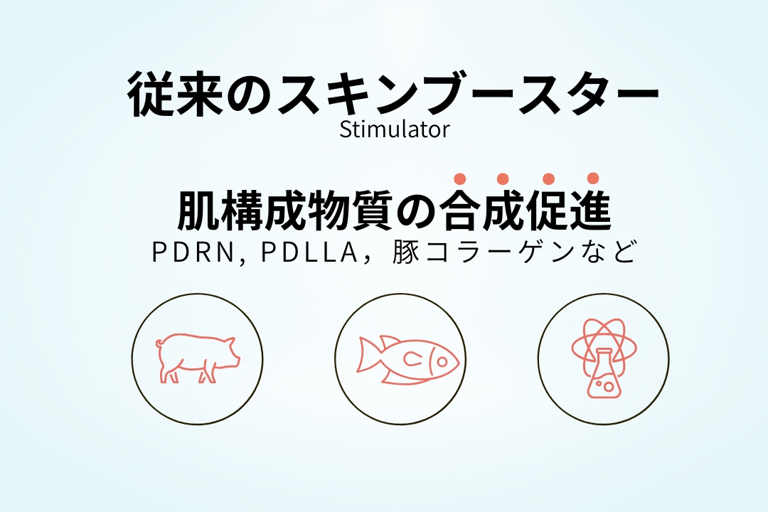 従来のスキンブースター
肌構成物質の合成促進
PDRN, PDLLA，豚コラーゲンなど