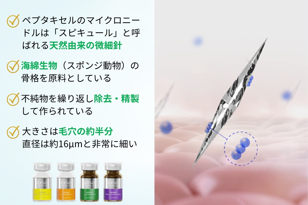 ペプタキセルのマイクロニードルは「スピキュール」と呼ばれる天然由来の微細針。


海綿生物（スポンジ動物）の骨格を原料としている。


不純物を繰り返し除去・精製して作られている。


大きさは毛穴の約半分、直径は約16μmと非常に細い。

